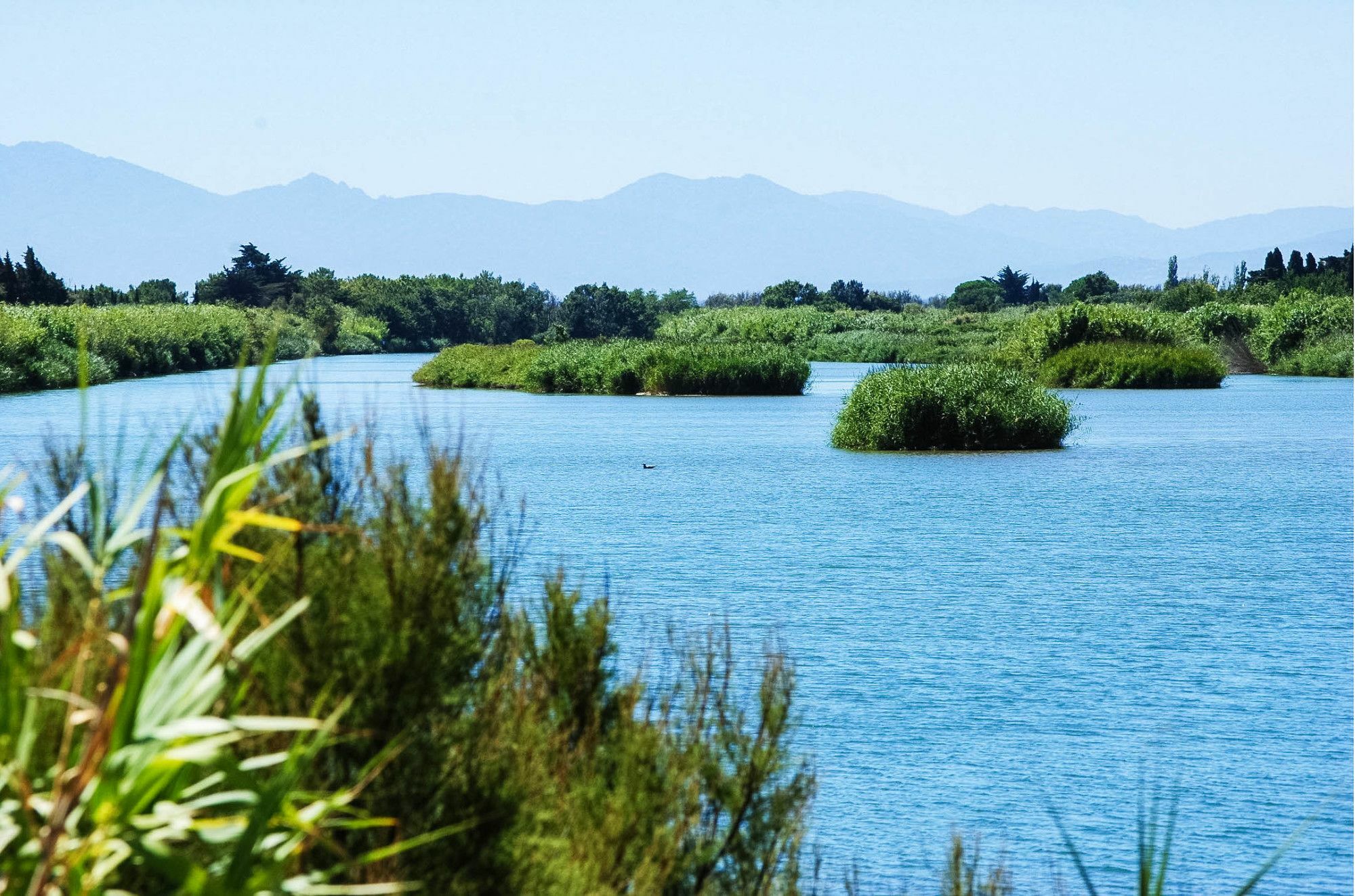 Ibis Styles Perpignan Canet En Roussillon Εξωτερικό φωτογραφία
