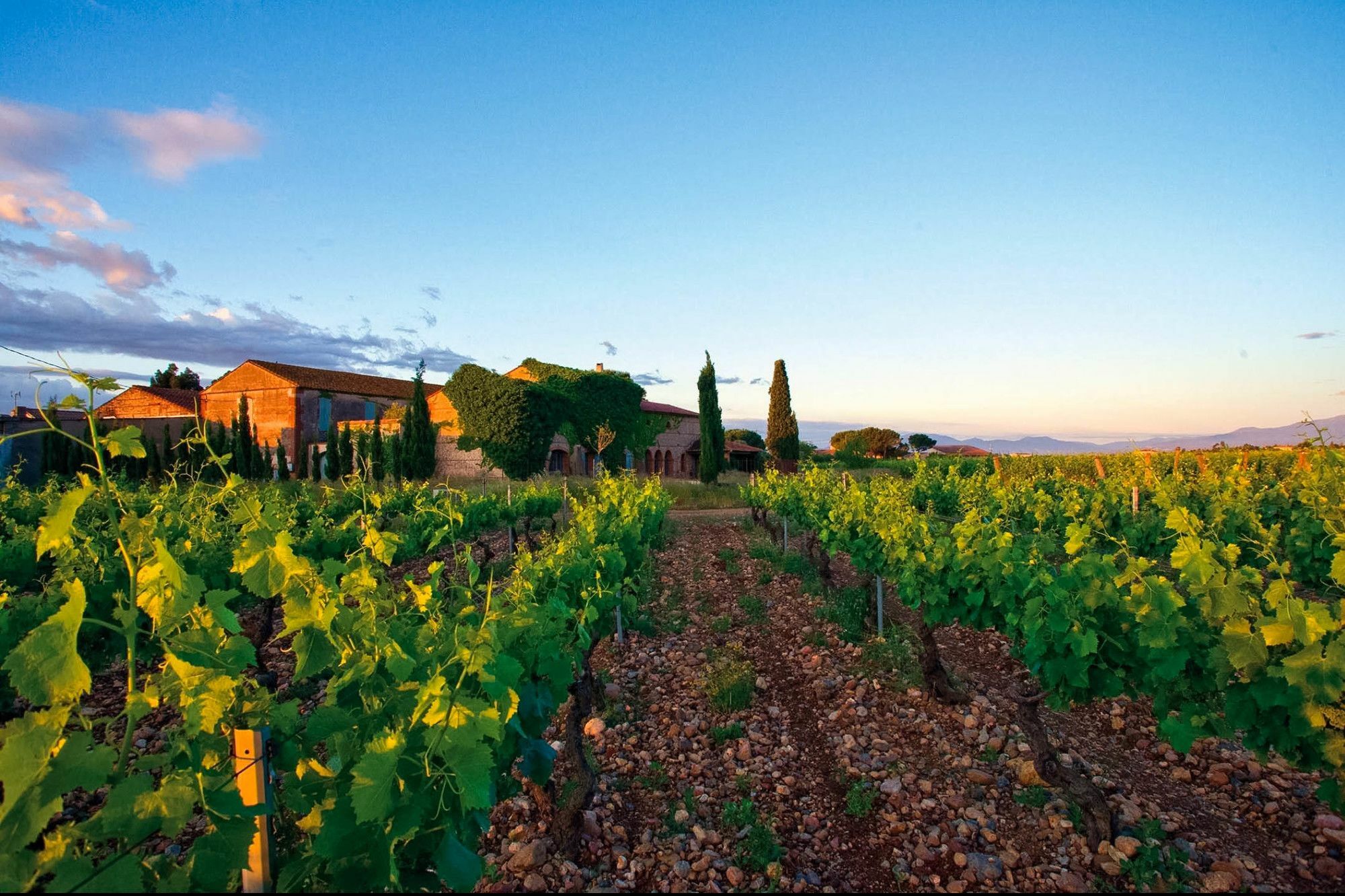 Ibis Styles Perpignan Canet En Roussillon Εξωτερικό φωτογραφία